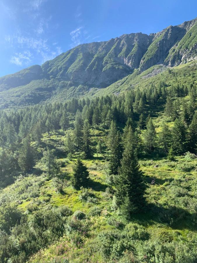 Casa Porrone Leilighet Passo del Tonale Eksteriør bilde